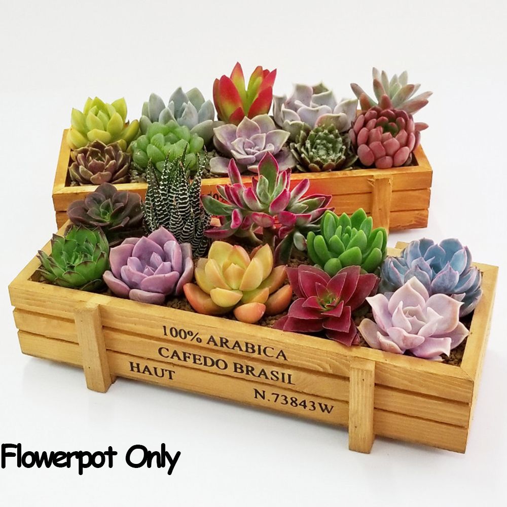 Gardening Tools Green - صناديق عصارية مستطيلية مزخرفة ، صناديق