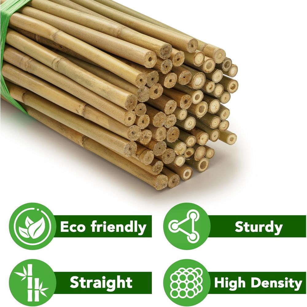 70 قطعة من أوتاد النباتات الطب - مراجعة Plant Support Stake وسعره