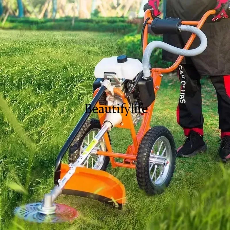 L178 جزازة عشب يدوية الدفع، ما - مراجعة Gardening Tools And Equipment وسعره