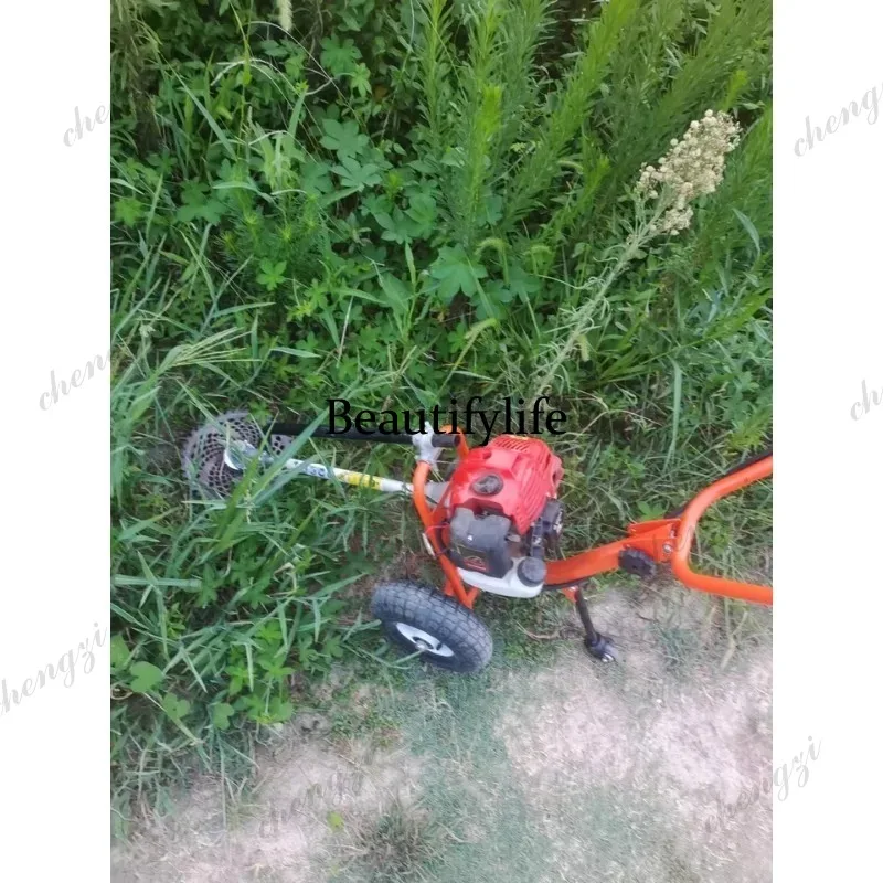 L178 جزازة عشب يدوية الدفع، ما - مراجعة Gardening Tools And Equipment وسعره
