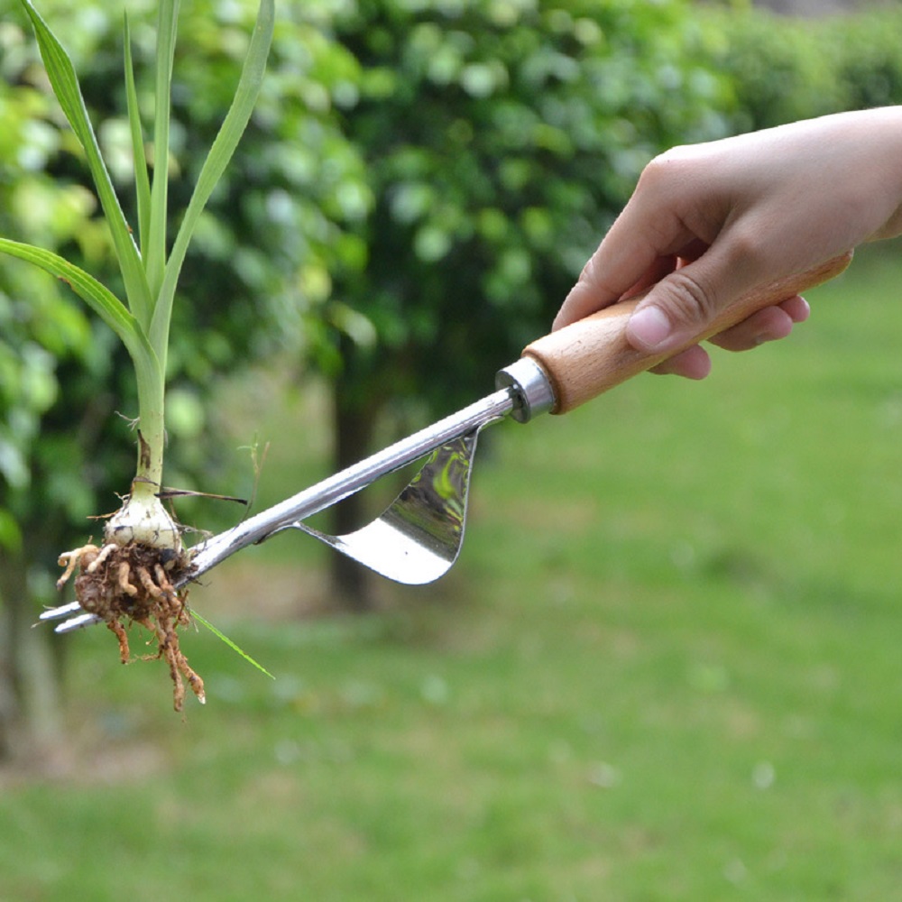 أداة يدوية لإزالة الأعشاب الضا - مراجعة Gardening Tools To Remove Grass وسعره