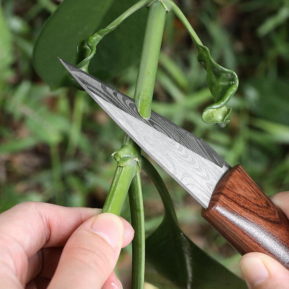 سكين تطعيم احترافي للحدائق وأش - مراجعة Gardening Tools Knife وسعره