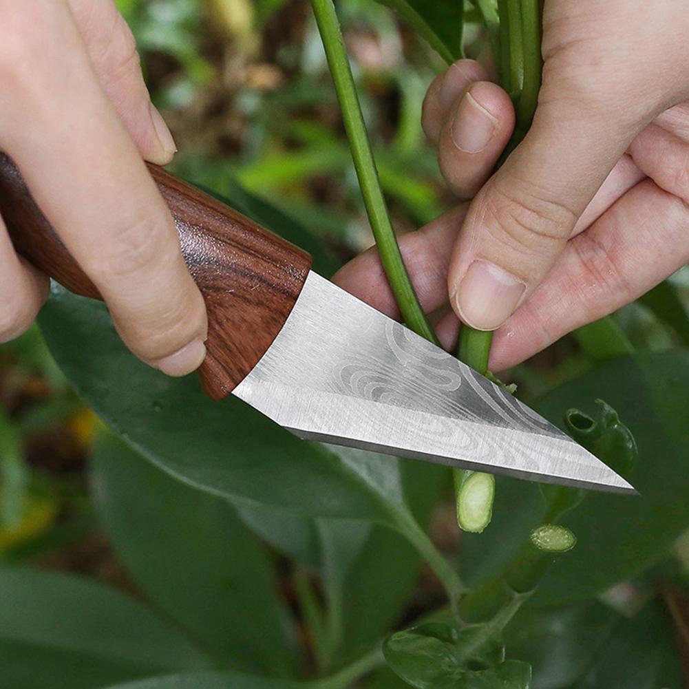 سكين تطعيم احترافي للحدائق وأش - مراجعة Gardening Tools Knife وسعره