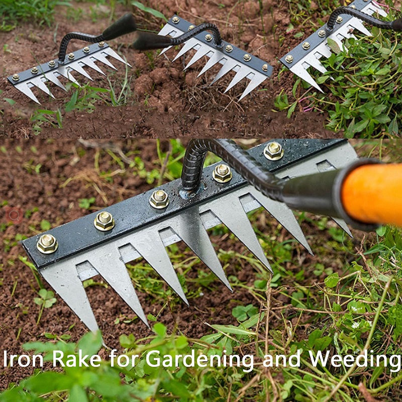 أدوات إزالة الأعشاب الضارة للح - مراجعة Gardening Tools To Remove Weeds وسعره