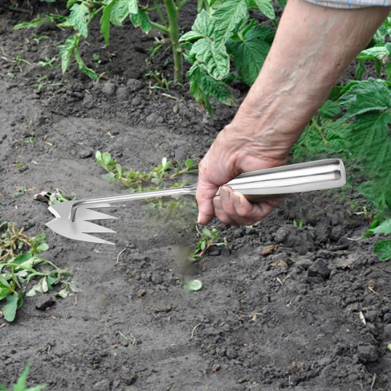أداة إزالة الأعشاب الضارة 4 أد - مراجعة Gardening Tools To Remove Grass وسعره
