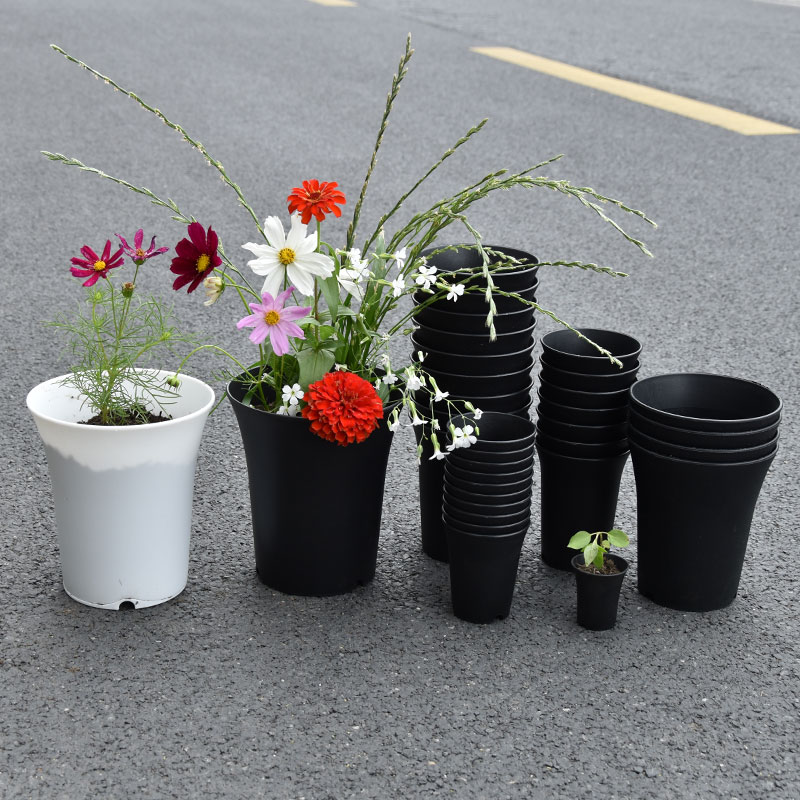 10 قطعة زهور سميكة عالية الخصر - مراجعة Gardening Tools Green وسعره