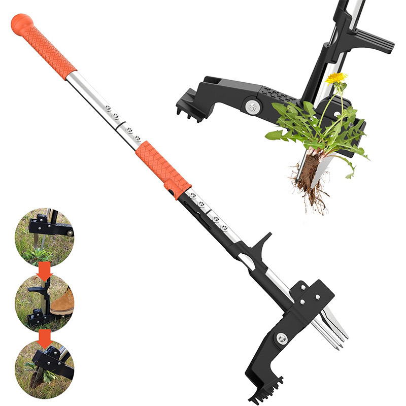 أداة إزالة جذور الأعشاب مع 4 م - مراجعة Gardening Tools To Remove Grass وسعره
