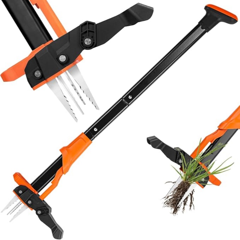 أداة إزالة جذور الأعشاب مع 4 م - مراجعة Gardening Tools To Remove Grass وسعره
