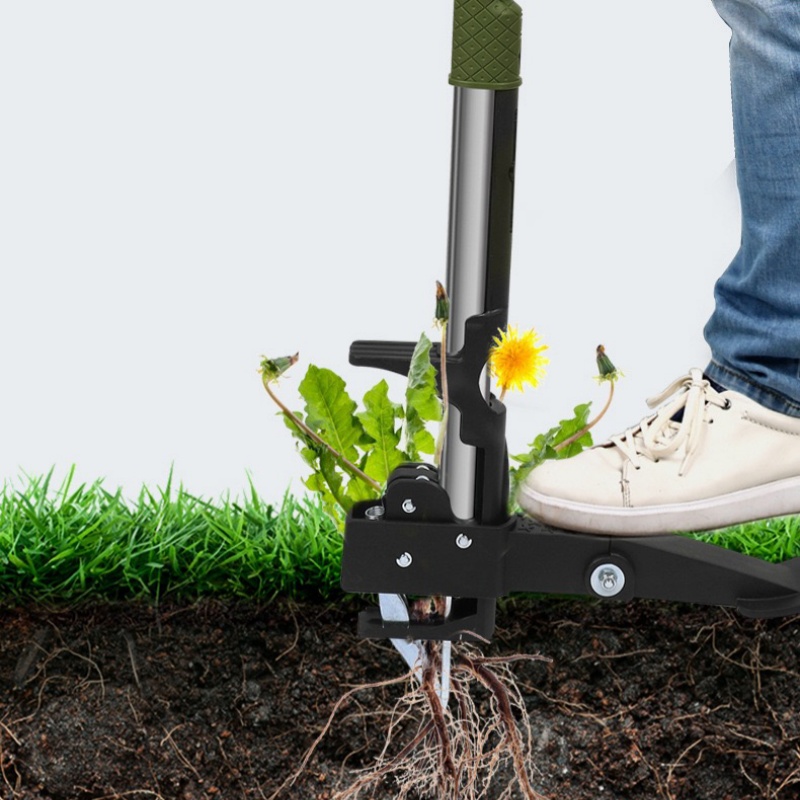 أداة إزالة جذور الأعشاب مع 4 م - مراجعة Gardening Tools To Remove Grass وسعره