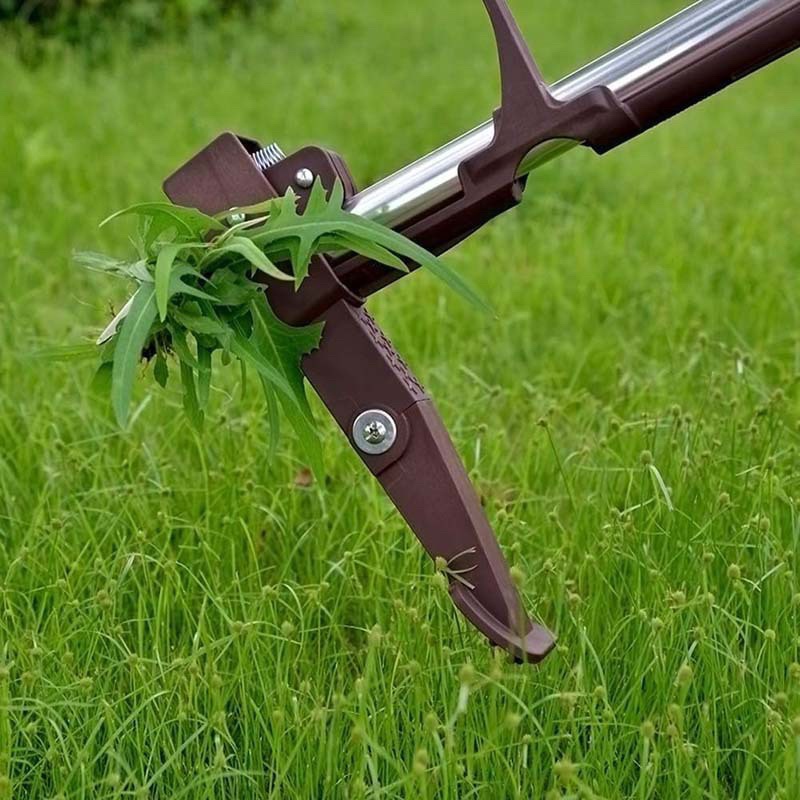 أداة إزالة جذور الأعشاب مع 4 م - مراجعة Gardening Tools To Remove Grass وسعره
