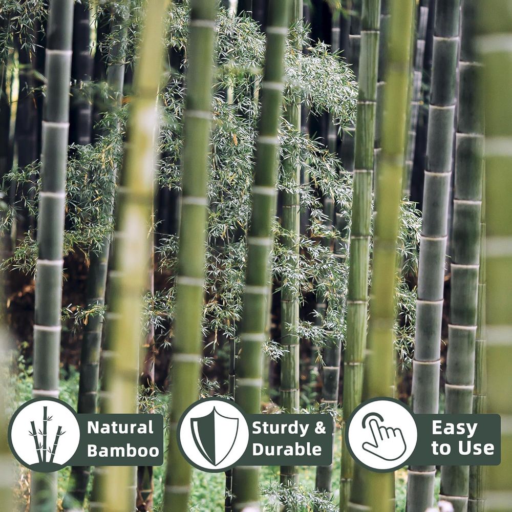 50 قطعة من أوتاد نباتات الخيزر - مراجعة Plant Support Stake وسعره