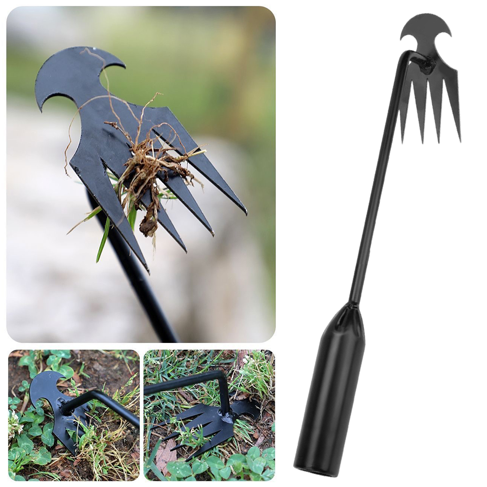 أداة مجرفة الحديقة 2 في 1 مجرف - مراجعة Gardening Tools To Remove Weeds وسعره
