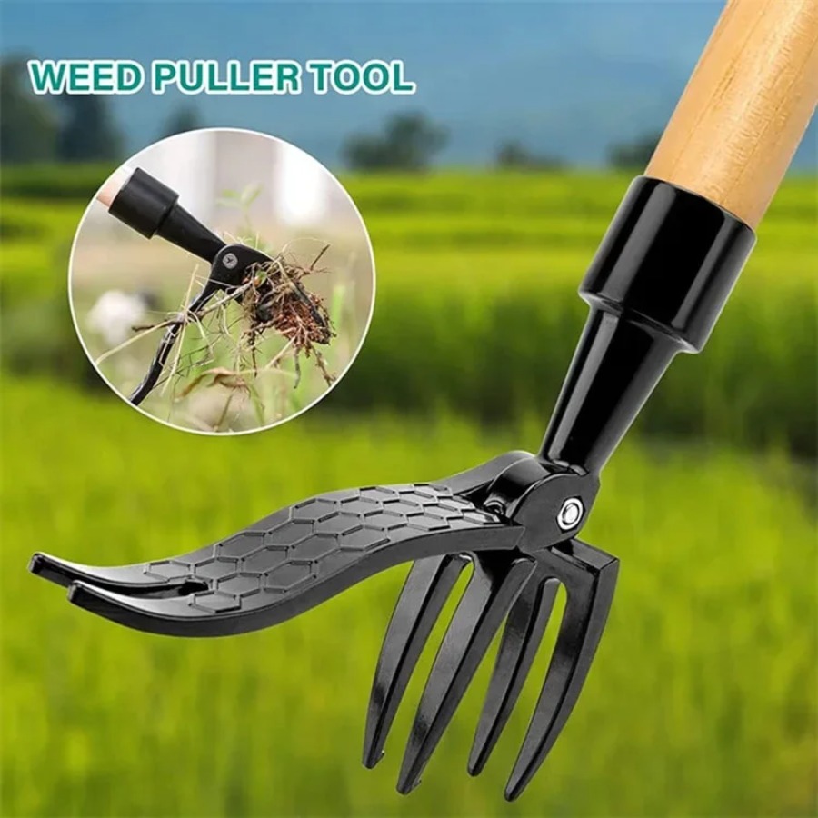 أداة إزالة الأعشاب الضارة القا - مراجعة Gardening Tools To Remove Weeds وسعره