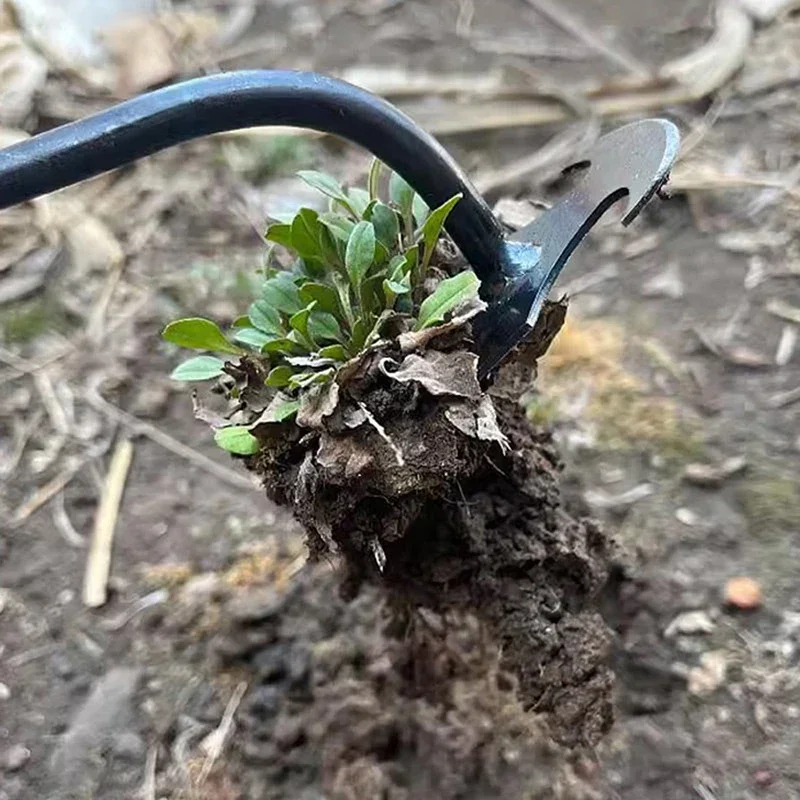 أداة إزالة الأعشاب الضارة اليد - مراجعة Gardening Tools To Remove Grass وسعره