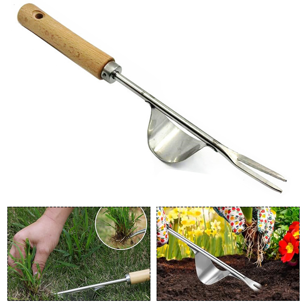 1 قطعة الفولاذ المقاوم للصدأ د - مراجعة Gardening Tools To Remove Grass وسعره