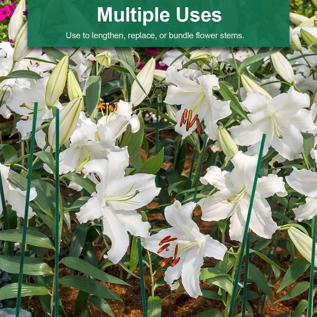 10 قطعة 40 سنتيمتر الأخضر الخي - مراجعة Gardening Tools Green وسعره