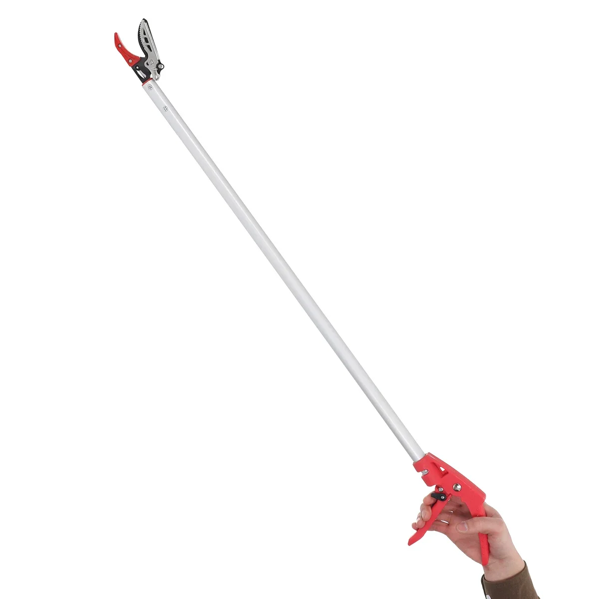 مقصات تشذيب الأشجار في الحديقة - مراجعة Gardening Tools Knife وسعره