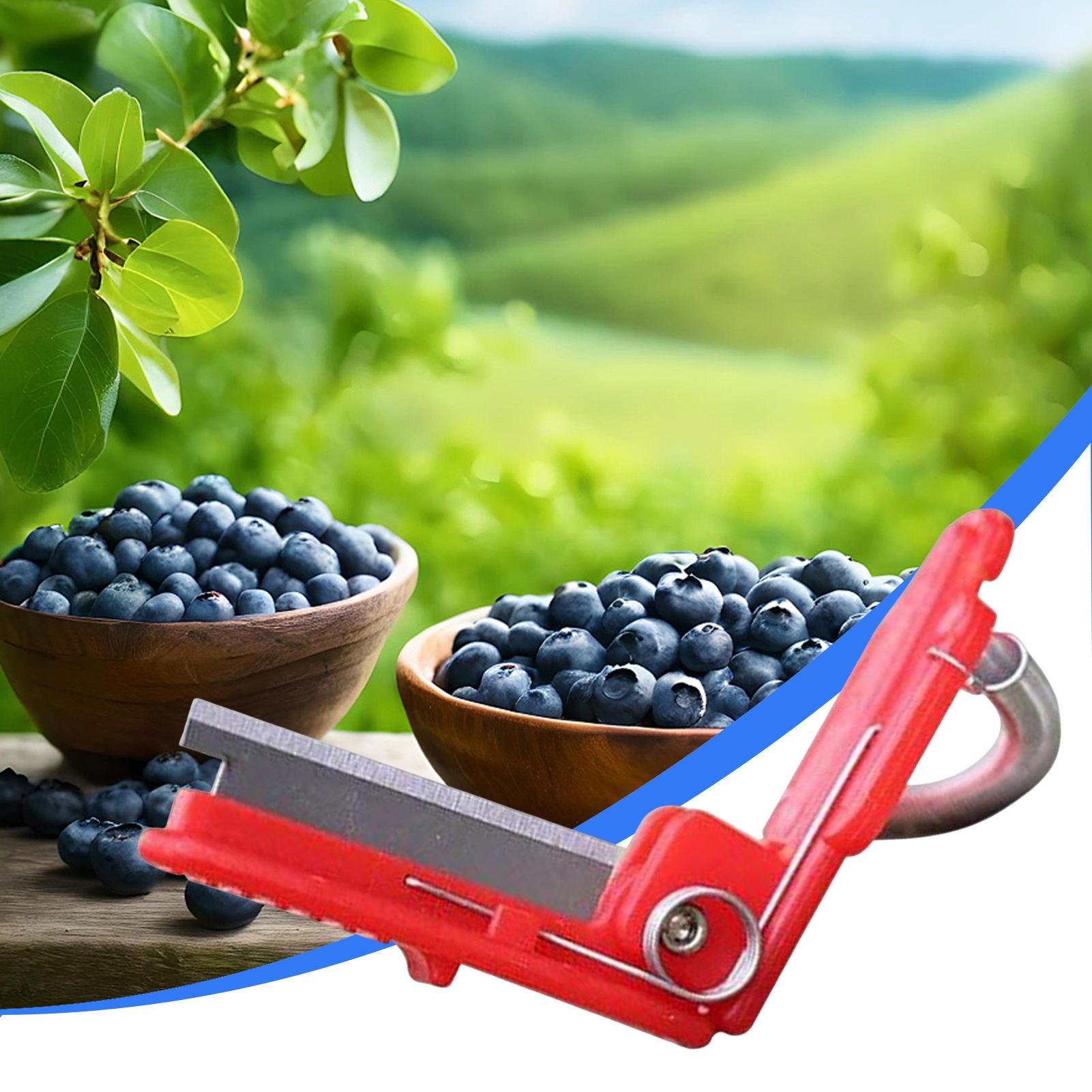 سكين إبهام متعدد الوظائف لتقلي - مراجعة Gardening Tools Knife وسعره