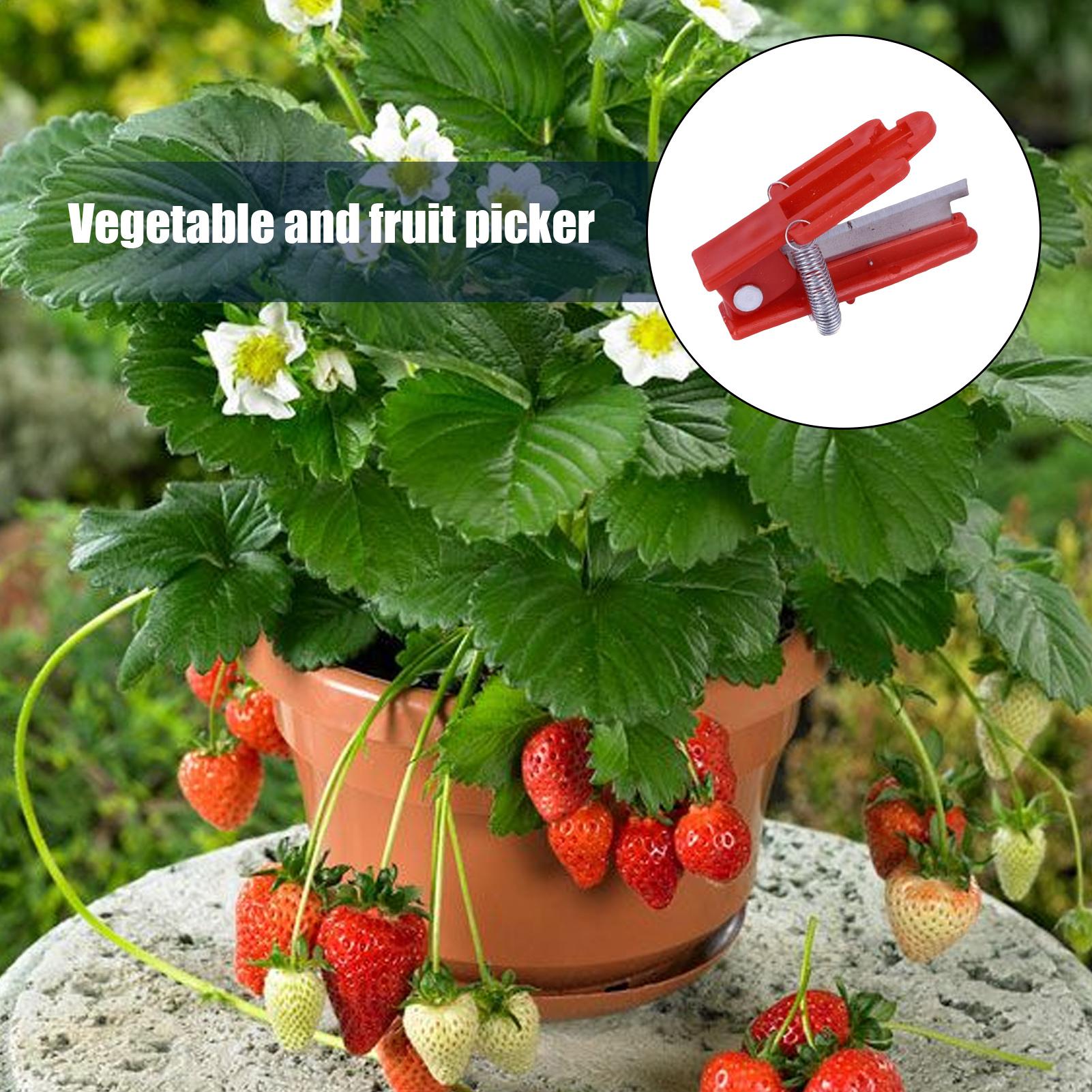 سكين إبهام متعدد الوظائف لتقلي - مراجعة Gardening Tools Knife وسعره