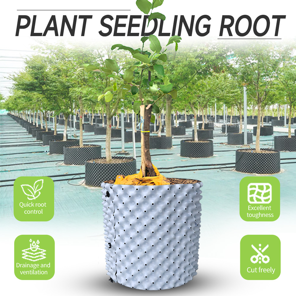 جهاز التحكم في الجذر ذو اللون  - مراجعة Gardening Tools Green وسعره