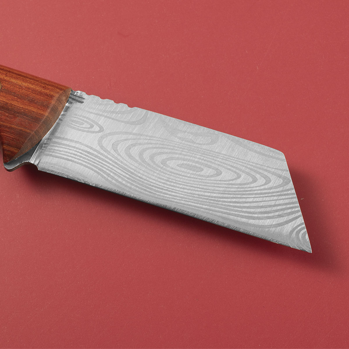 سكين تطعيم متعدد الوظائف | مصن - مراجعة Gardening Tools Knife وسعره