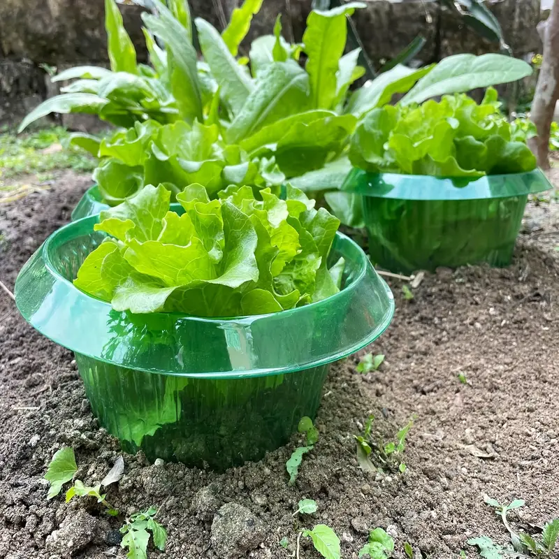 حلقات حماية سبيكة النباتات غطا - مراجعة Gardening Tools Green وسعره
