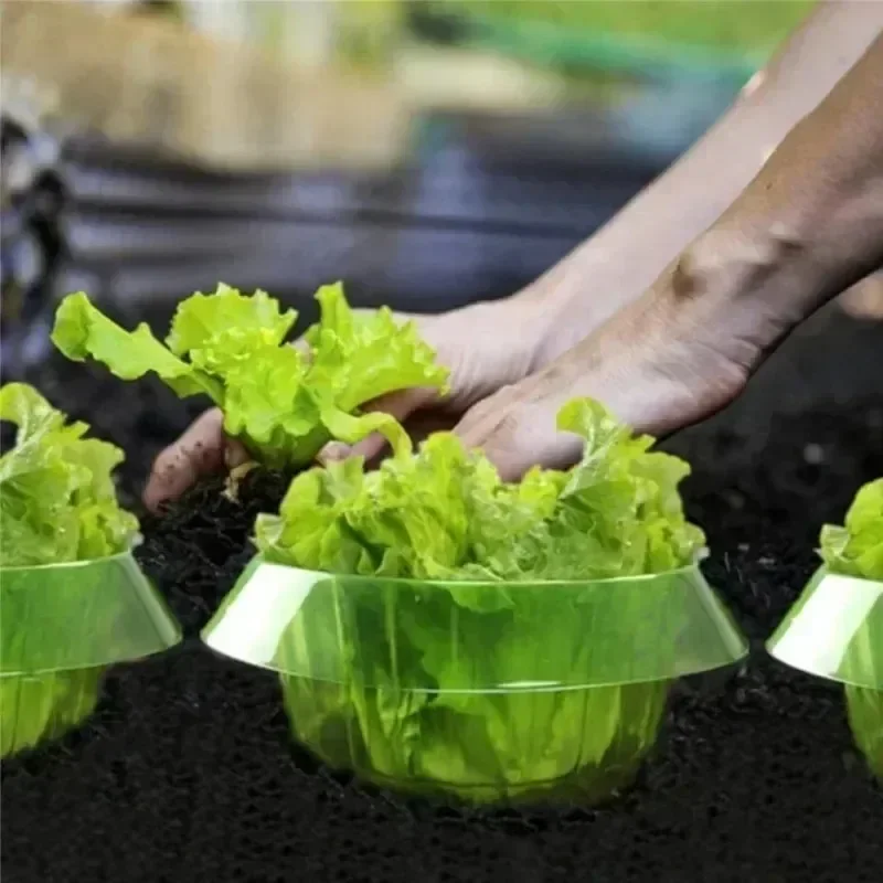 حلقات حماية سبيكة النباتات غطا - مراجعة Gardening Tools Green وسعره