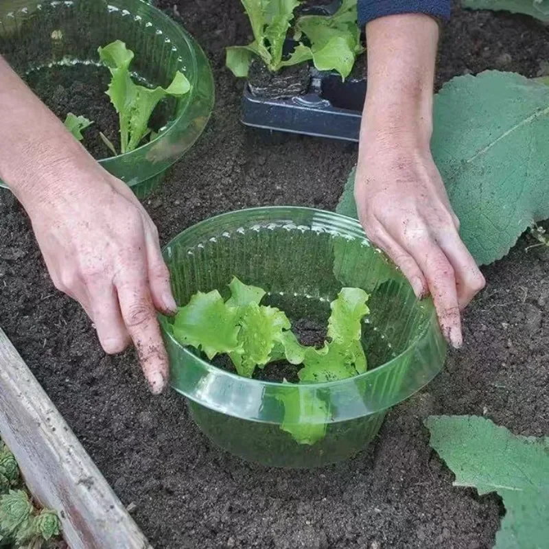 حلقات حماية سبيكة النباتات غطا - مراجعة Gardening Tools Green وسعره
