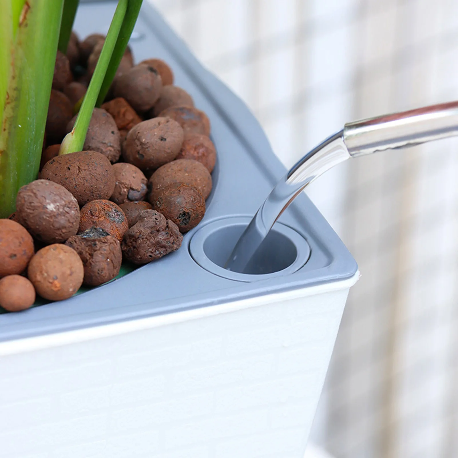 أصيص زهور ذاتي السقي مصنوع يدو - مراجعة Gardening Tools Green وسعره