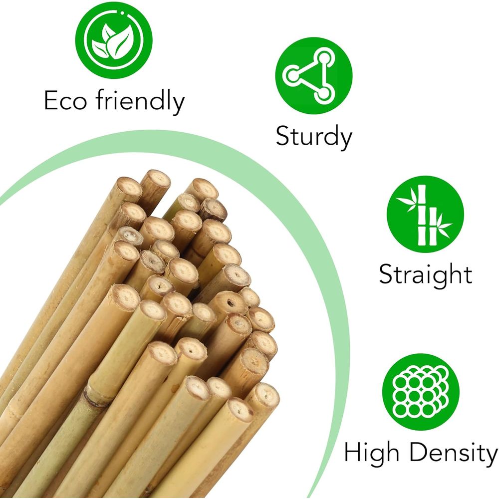 مجموعة من 55 عود خيزران للنبات - مراجعة Plant Support Stake وسعره